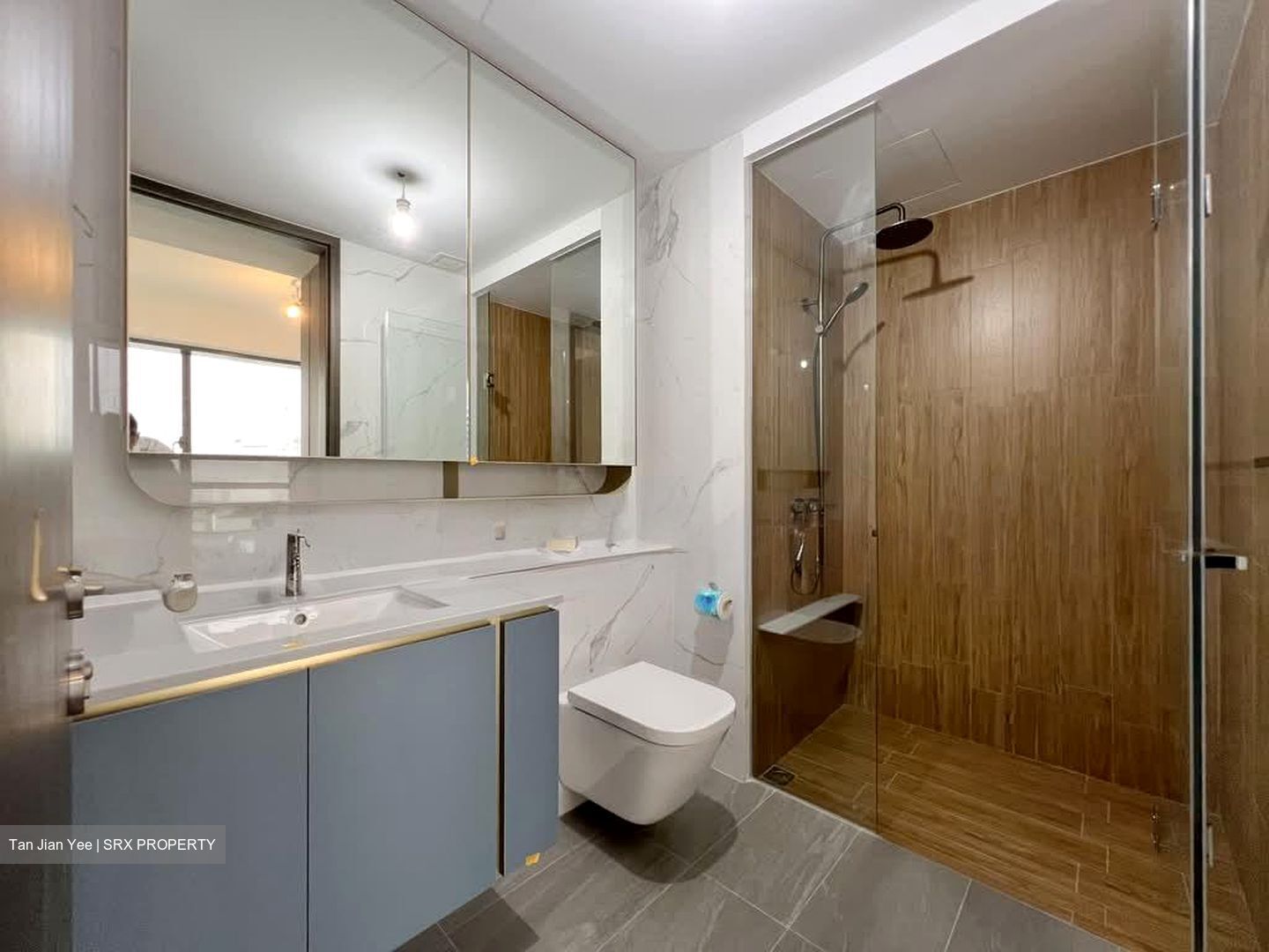 Amo Residence (D20), Apartment #557639211